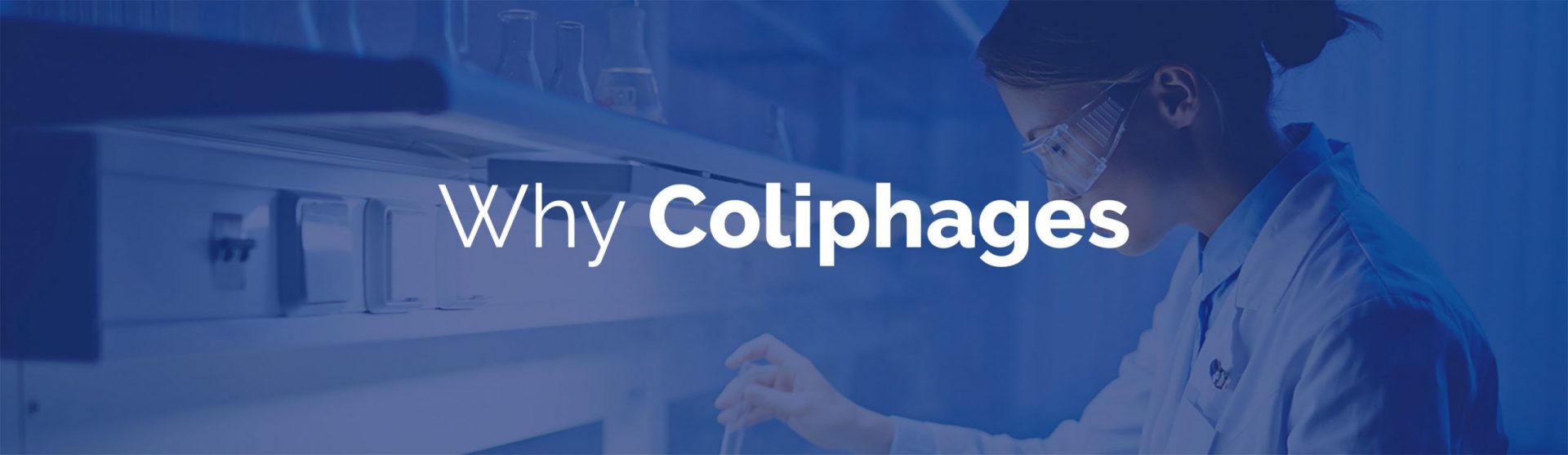 slider-coliphages