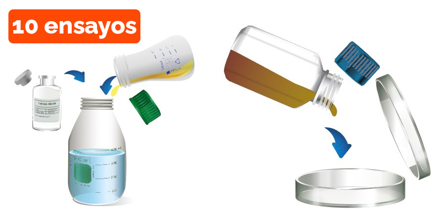 10-ensayos