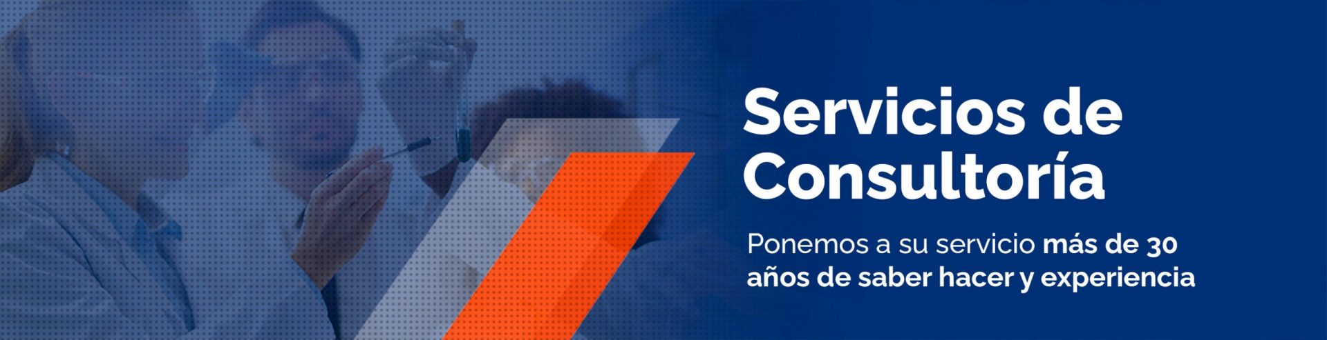 servicioconsultoria