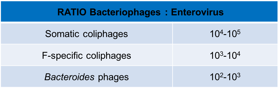  RATIO Bacteriophages - Enterovirus