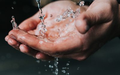 W.A.S.H: Water, Sanitation, and Hygiene