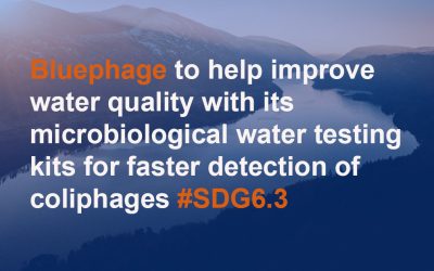 Bluephage plays an essential role in the water consumption cycle providing quick, safe, and efficient information on viral water contamination