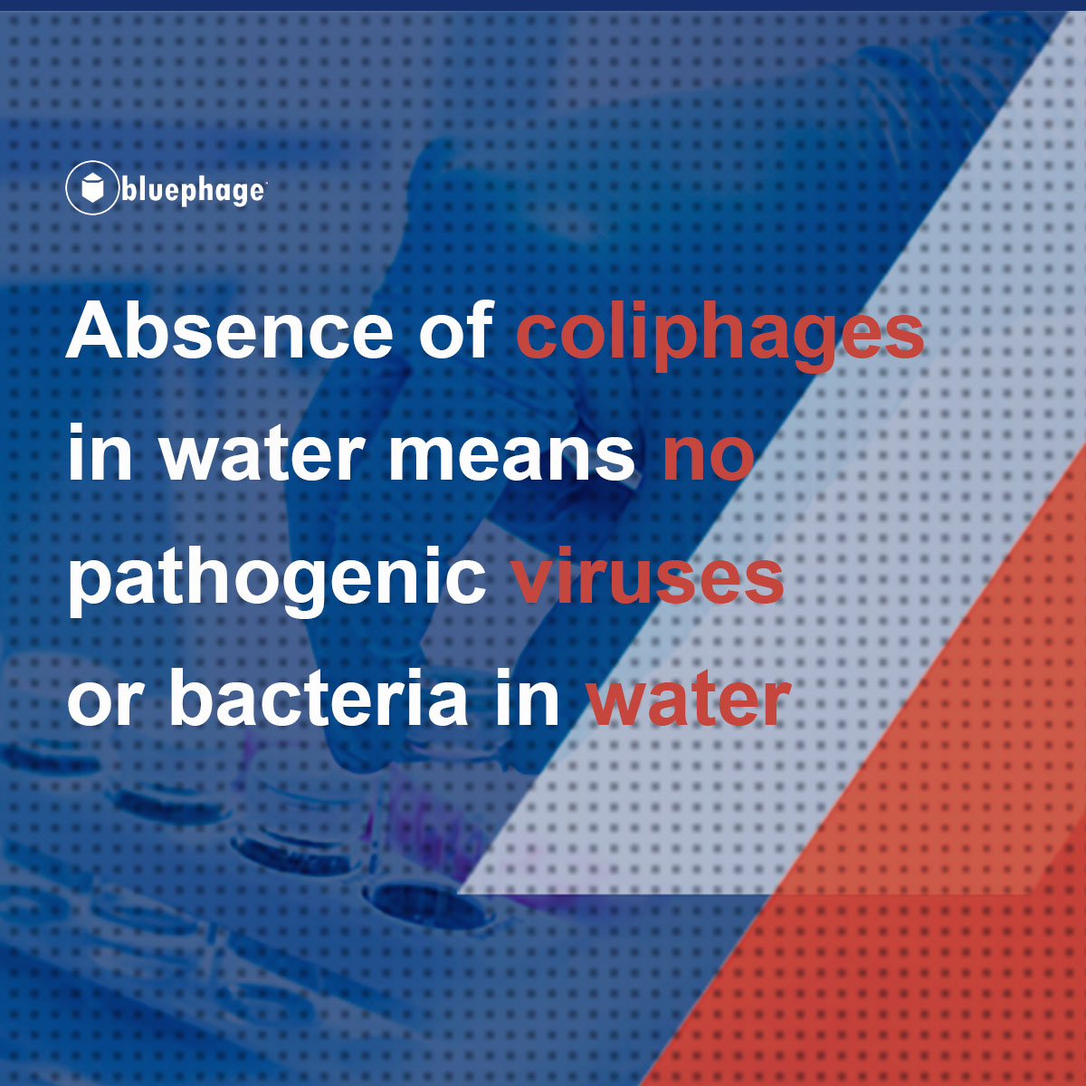 Why Coliphages_2