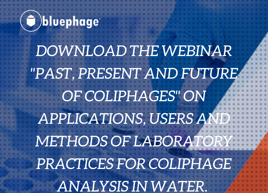 Conclusions and recording of the webinar: Past, present, and future of coliphages