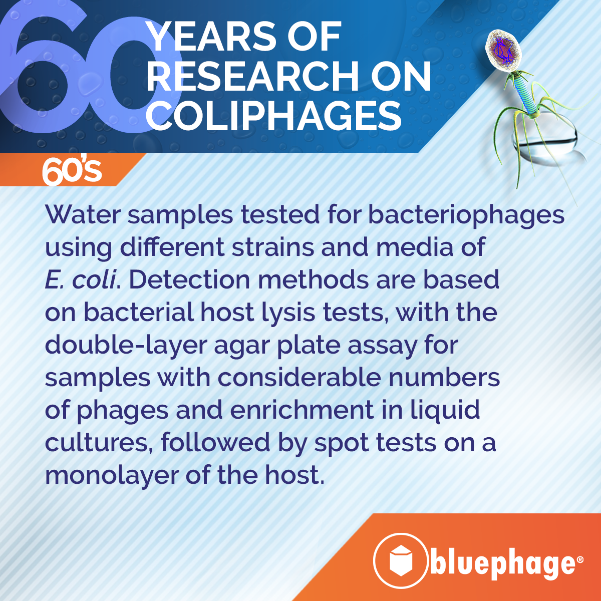 60 years coliphages research 1