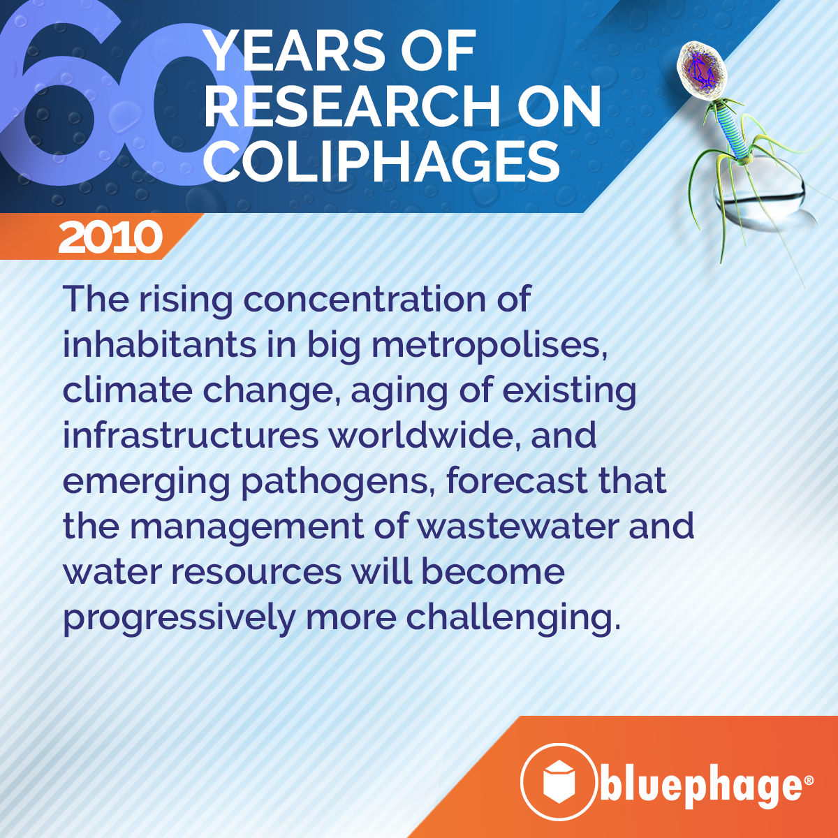 60 years coliphages research 11