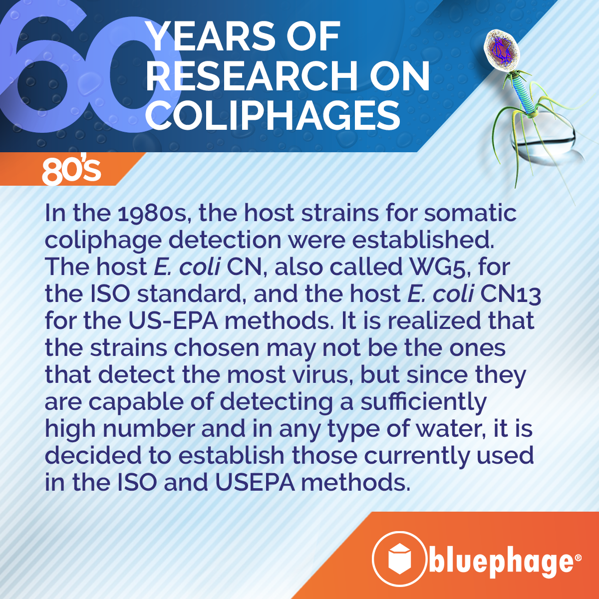 60 years coliphages research 5