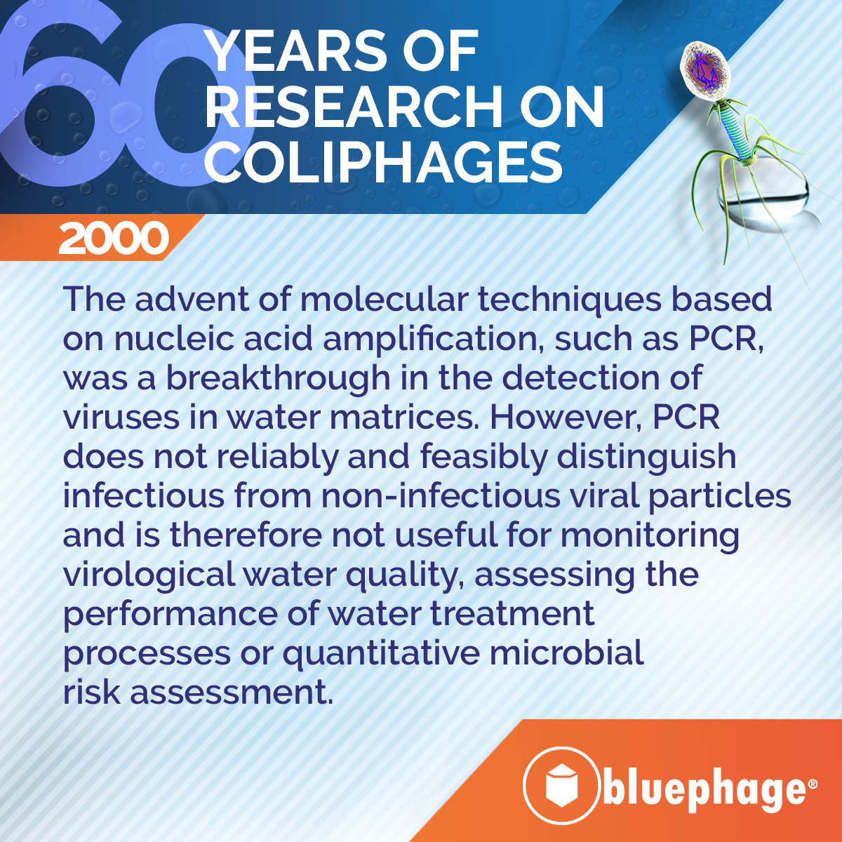 60 years coliphages research 8