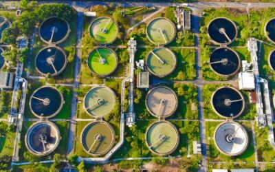 Water Reuse for a Sustainable Future: The Role of Bluephage in Ensuring Safe Water Treatment